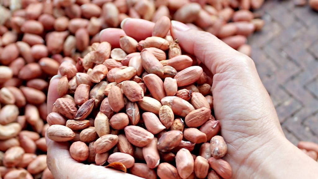 Siedätyshoitona käytettävästä laastarista saattaa vielä olla hyötyä maapähkinäallergikoille. Kuvituskuva.