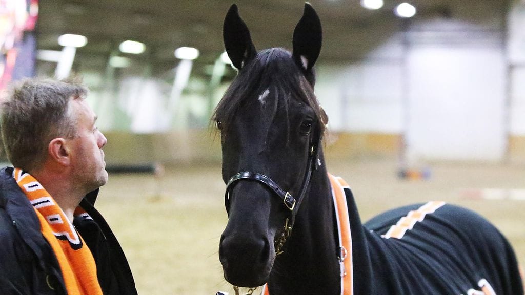 Fruttifero Luca ja Marko Heikari, KooKoo