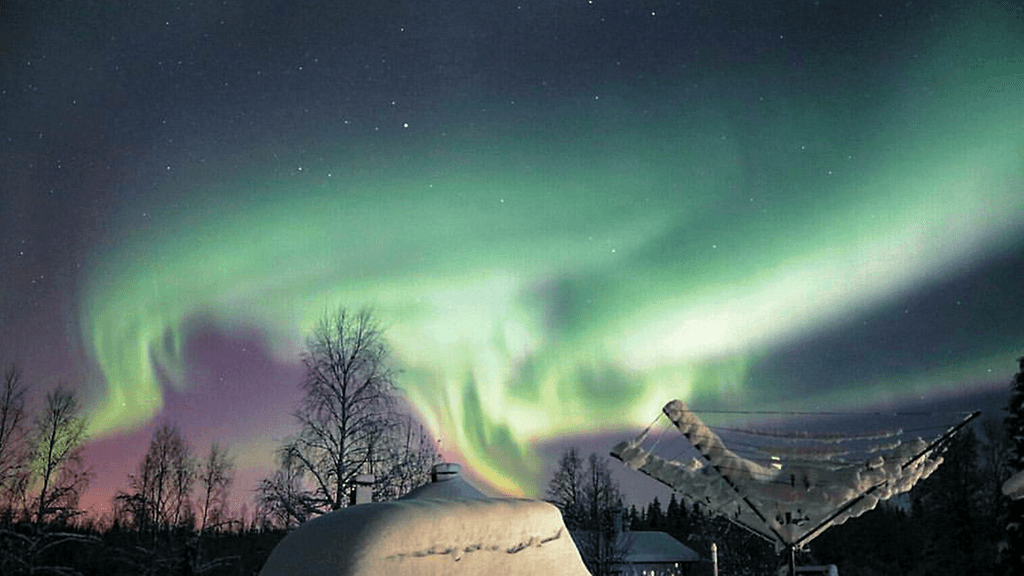 Kuvituskuvassa lukija Elisa Hepolan ikuistamat revontulet marraskuussa 2017.