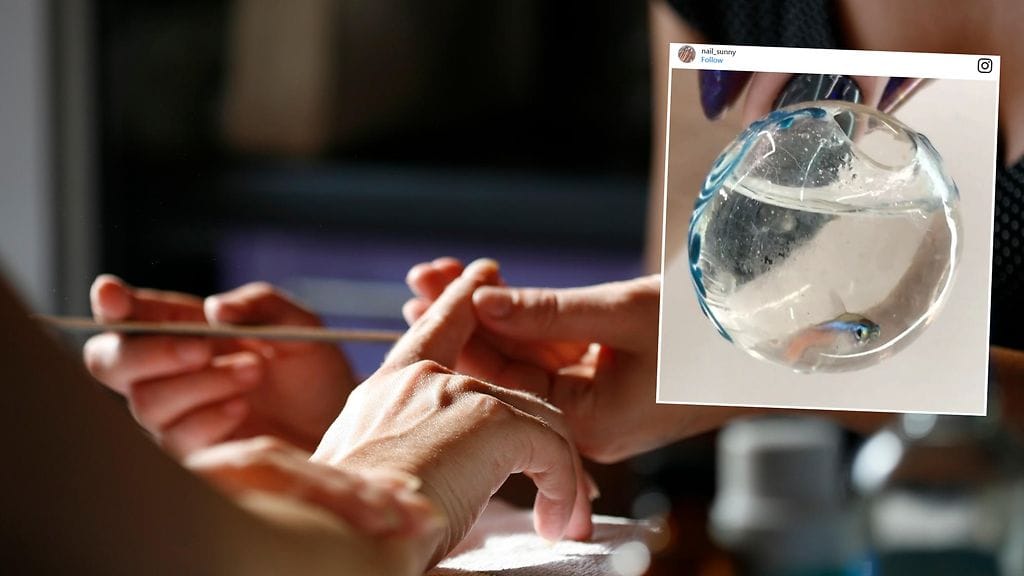 Mitä mieltä sinä olet tästä manikyyriuutuudesta?