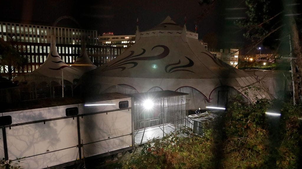 Tiikerin tyhjä häkki sirkuksessa.