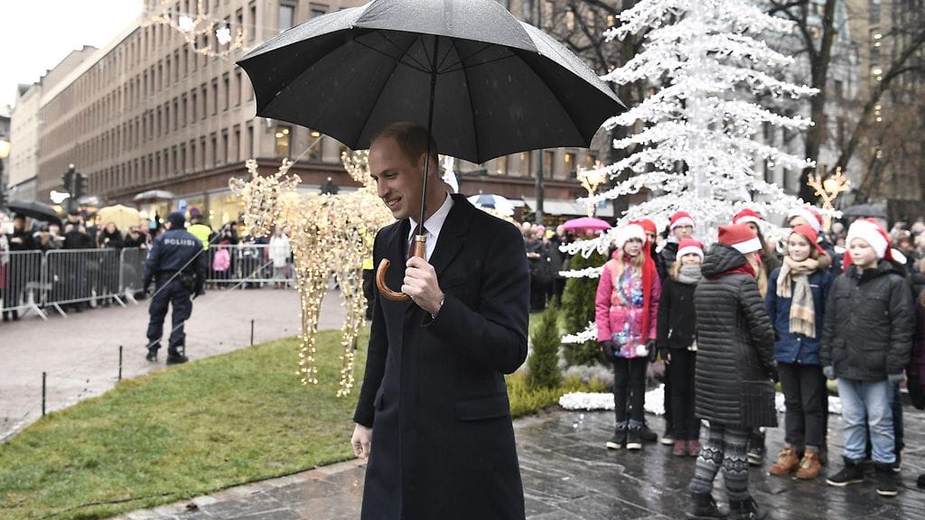 Prinssi William Esplanadilla 30.11.2017 9