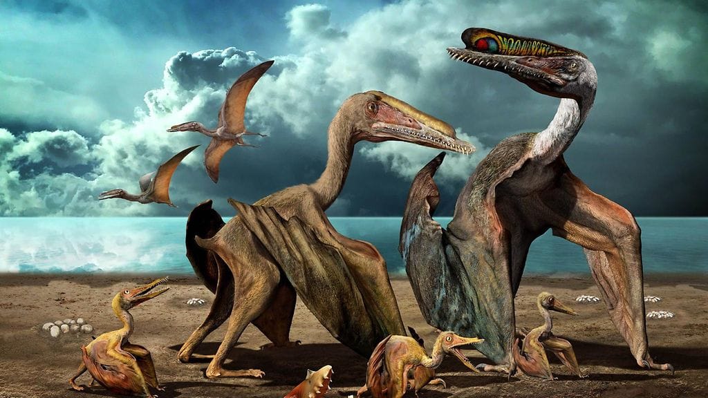 Arkistokuva pterosaurus -lentoliskosta