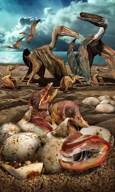 pterosaurus lentolisko