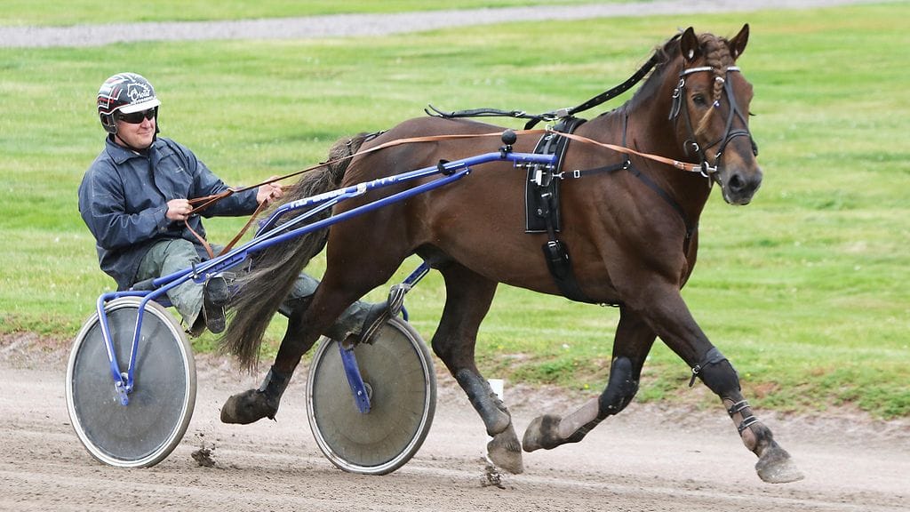 Köppinen ja Jyrki Korhonen