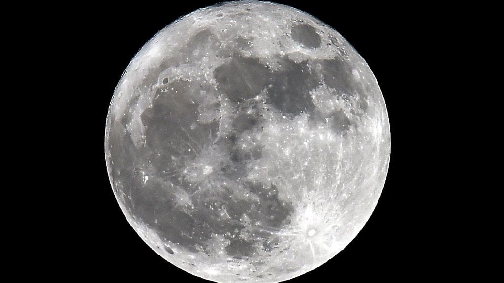 Täm kuva suoperkuusta on otettu tänään Trebons-sur-la-Grassen kylässä Etelä-Ranskassa.