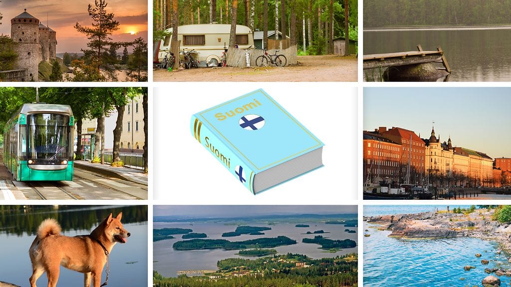 Millainen suomalainen olet?