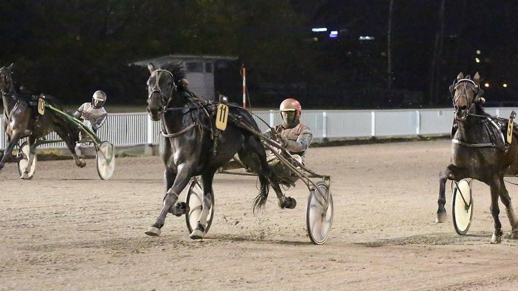 Santtu Raitala jatkaa Laurila's Denethorin ohjissa.