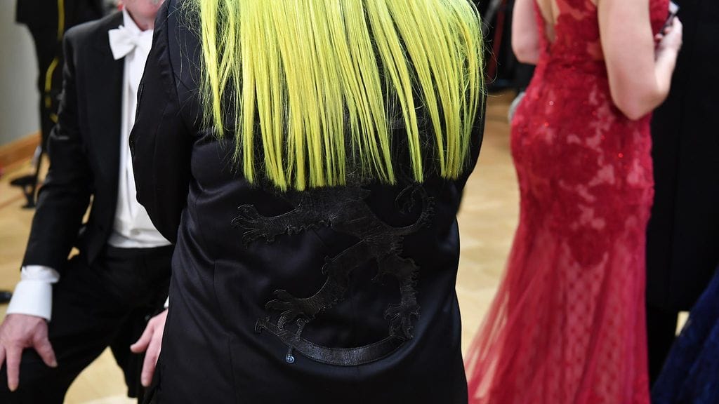 Alma leijona selässä 1