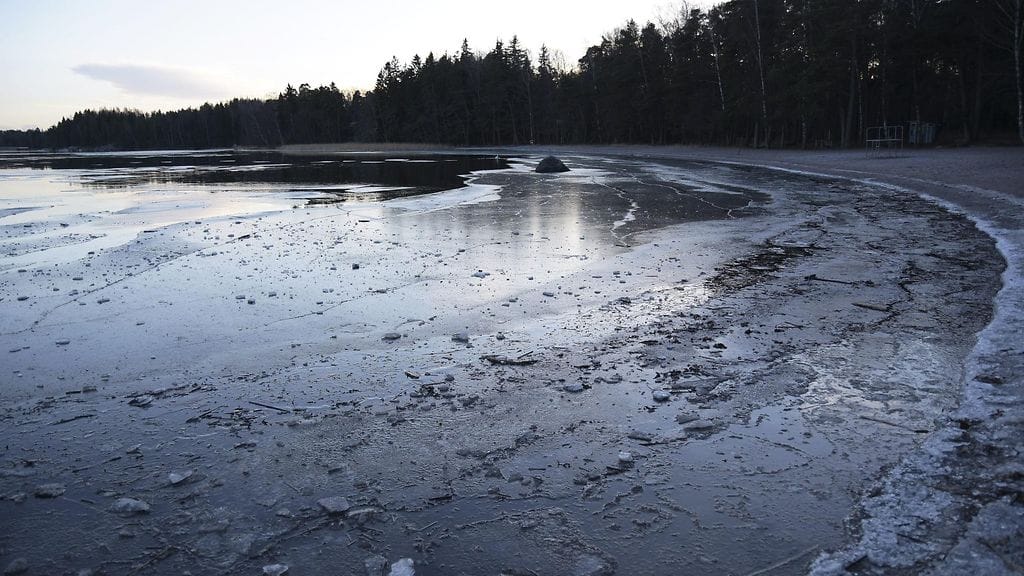 Hirvikoiran metsästysharjoitukset olivat päättyä dramaattisesti Heinävedellä Etelä-Savossa. Kuvituskuva.