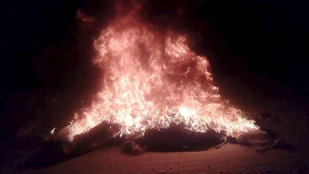 Helsingin Lauttasaaressa varastettiin itsenäisyyspäivänä lukuisia Suomen lippuja. Eri taloyhtiöiden saloista hävisi yhteensä 25 lippua. Anarkistien takku.net -sivusto julkaisi torstai-iltana videon nimeltään Suomi 100 -nuotio, jossa Suomen lippuja heitetään kasaan ja sytytetään tuleen.