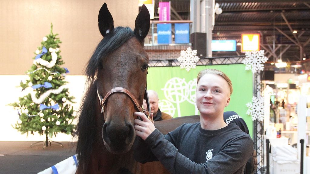 Ammattiohjastaja Jukka Torvinen ja Outrageous Broline toivat Ideaparkiin perjantaina esimakua tulevasta.