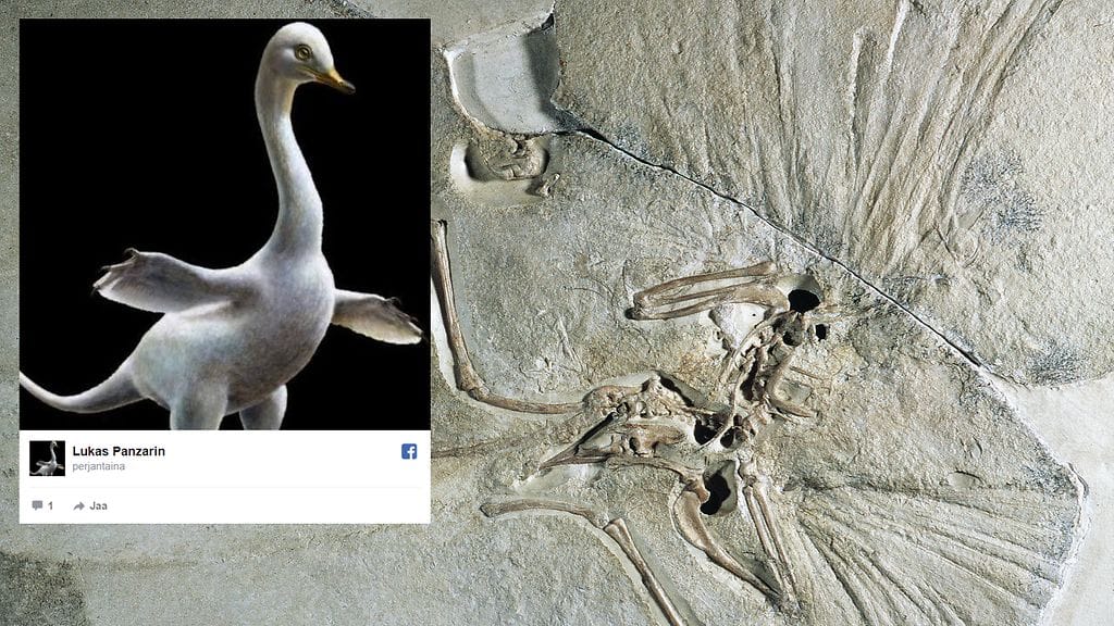 Dinosaurus eli 75 miljoonaa vuotta sitten Mongolian joissa ja järvissä. Facebook-kuvassa taiteilijan näkemys halszkaraptor escuilliei -sauruksesta.