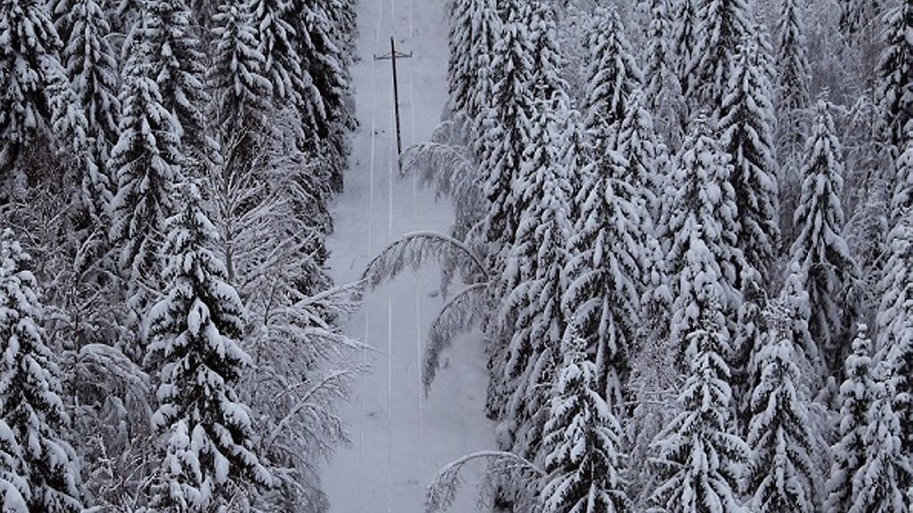 Kuvituskuvaa lumisesta sähkölinjasta.