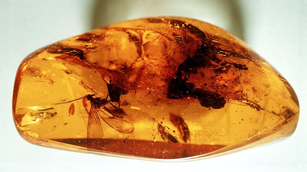 Pienet eläimet ja kasvit voivat säilyä meripihkassa hyvinkin koskemattomassa muodossa jopa miljoonia vuosia.