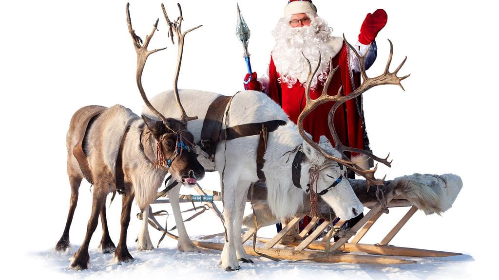 Joulupukki poseeraa porojensa kanssa.