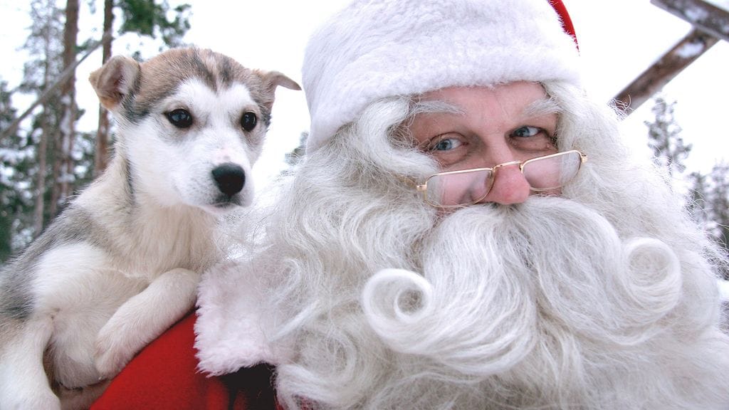 "Koira etsii ihmisestä hänen sisällään, ehkä joidenkin kohdalla myös piilossa, olleen ystävällisyyden ja hellyyden", Joulupukki sanoo. Leikkikaluksi, palkkioksi tai ajattelemattomuuttaan eläintä ei kuitenkaan pidä hankkia.