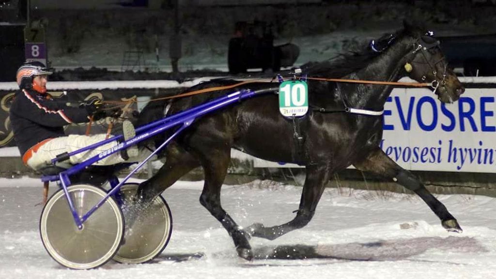 Arnold Halm on Brobackan tallin voitokkain hevonen. Peter Lindroos ohjasti viimeisimmän täysosuman.