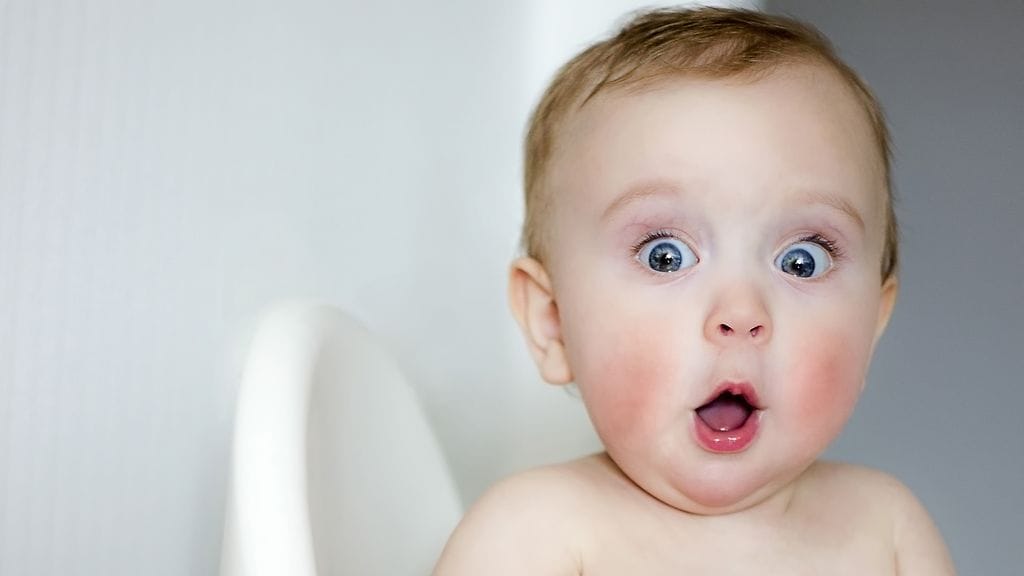 Kaikkea pajunköyttä sitä meille pienestä pitäen syötetään. Kuvituskuva.