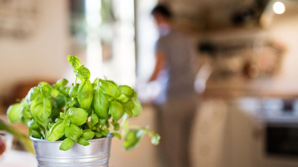 Lehtivihreitä kannattaa syödä.