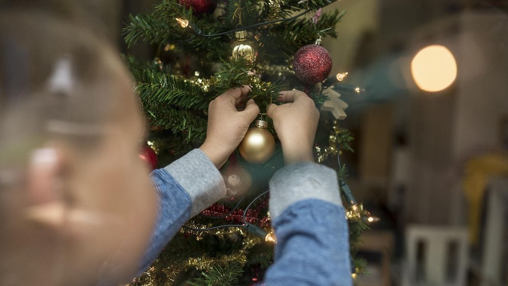 Joulukuusta epätoivoisesti toivonut poika joutui pettymään.