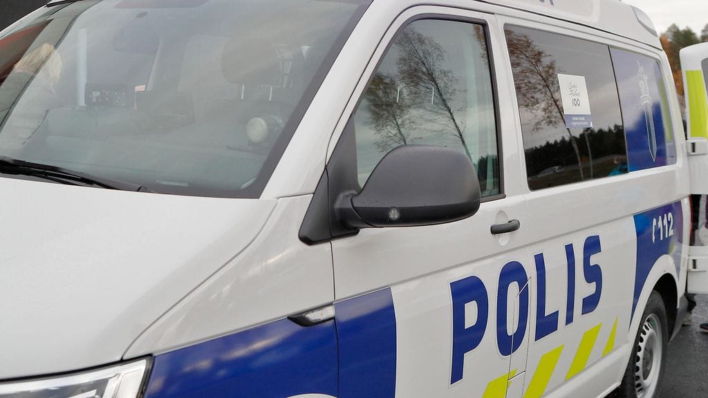 Koira oli poliisin tietojen mukaan ollut hihnassa, mutta ei kummankaan henkilön hallinnassa eikä hihna ollut kytkettynä mihinkään. Koira oli purrut ohikulkenutta poikaa sääreen.