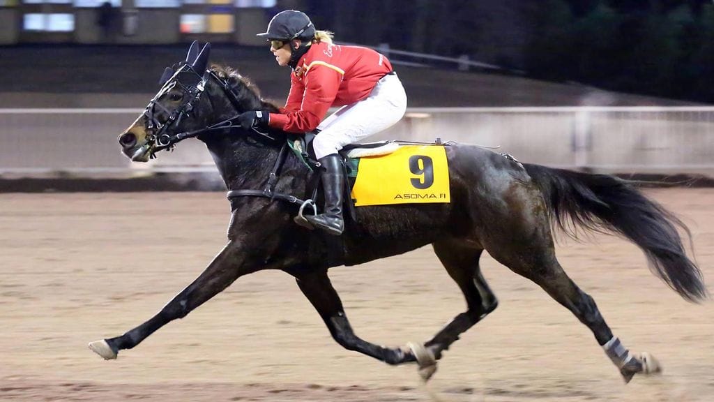 Anna Heikkinen ja BWT Lovestory monté