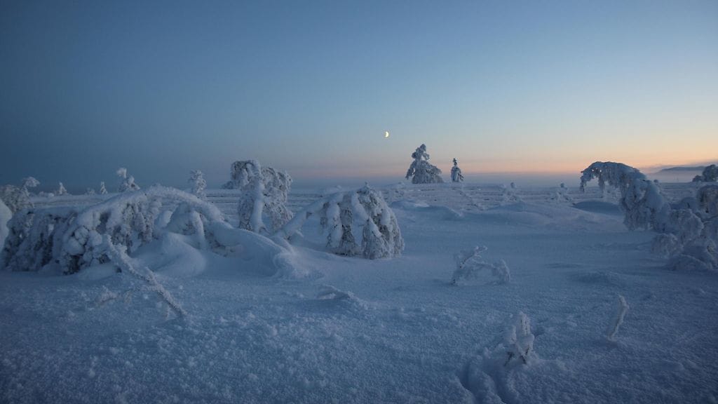 Joulupäivää Enontekiön Hetasta, Paljasselältä. Kuva: Paula Alatörmänen