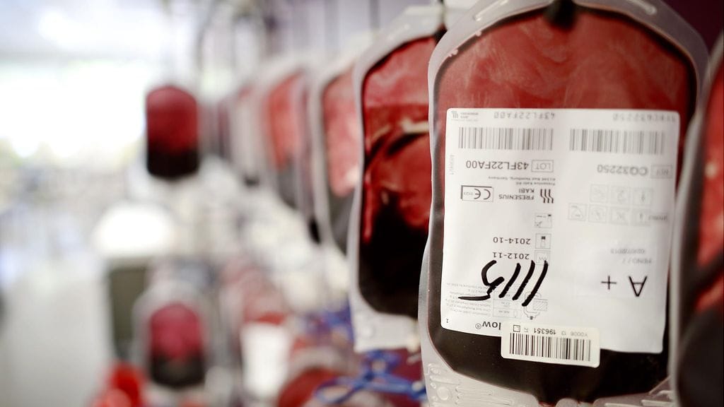 Luovutettua verta valmistellaan eteenpäin toimitettavaksi Veripalvelun verivalmistevarastossa Helsingissä.