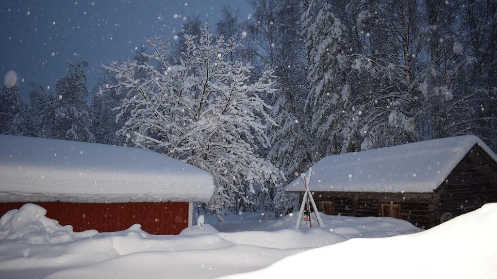 Kontiolahti, Eila Ylönen