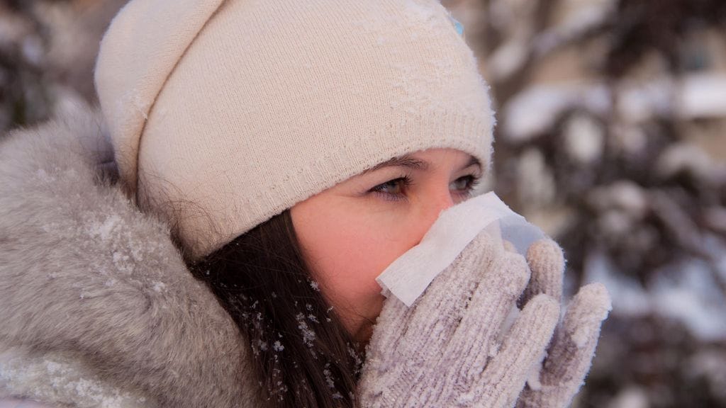 Nenä alkaa erittää vettä ja limaa aina kylmällä ilmalla. Mutta miksi?