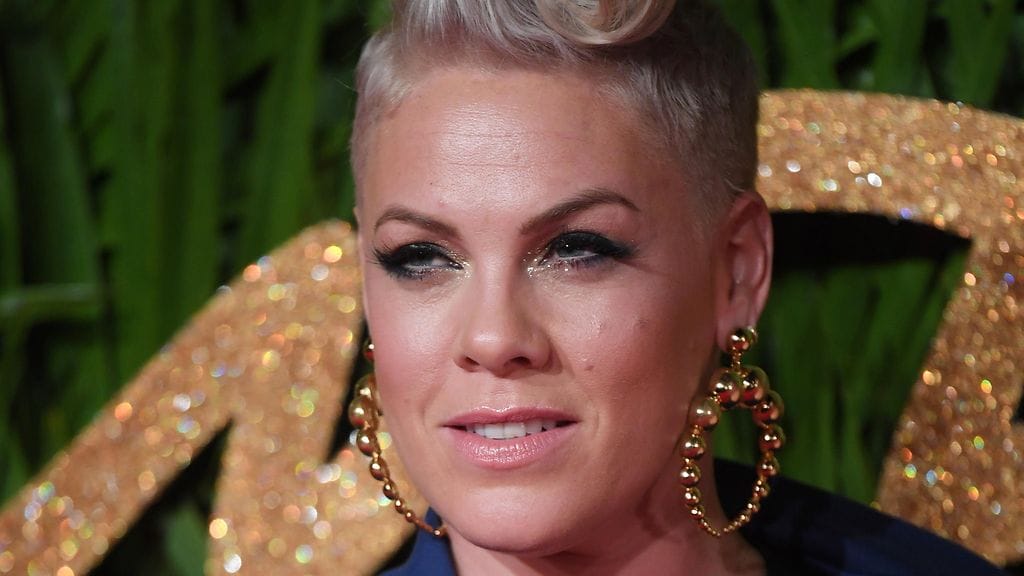 Laulajatähti Pink julkaisi lapsistaan kuvan Instagramissa, mikä sai ilkeämieleiset kommentoijat liikkeelle.