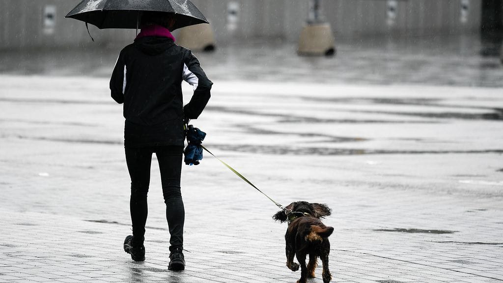 Viime kesä oli viileä, ja sateestakin saatiin nauttia. Kuva on otettu sateisena kesäpäivänä Helsingissä.