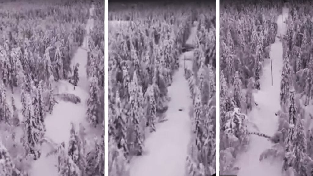 Tykkylumituhoja kuvattuna Juuassa. Kuva: Pohjois-Karjalan Sähkö.