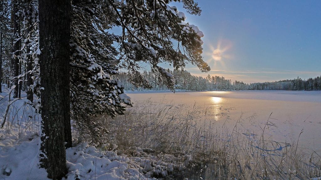 Sää kylmenee ensi viikolla.
