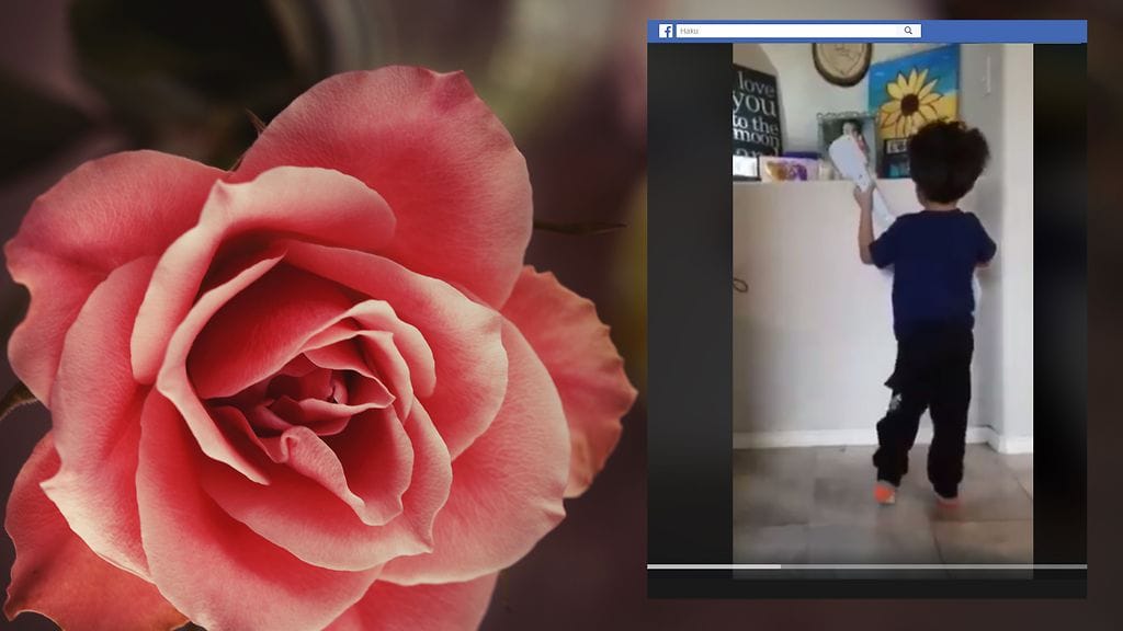 Pikkupoika lauloi siskonsa kuvalle koskettavasti.