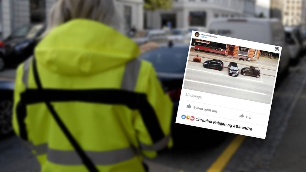 Kuvankaappaus Ann Maibritt Ehlersin Instagramista.