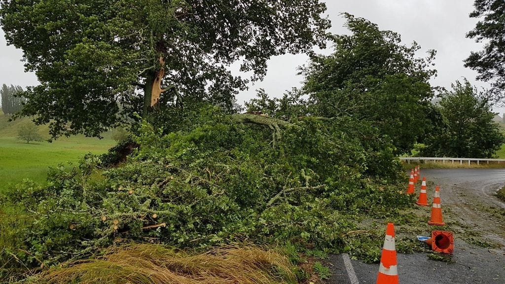 Ainakin yksi henkilö on kuollut ja yli 20 000 kotitaloutta on ilman sähköä.