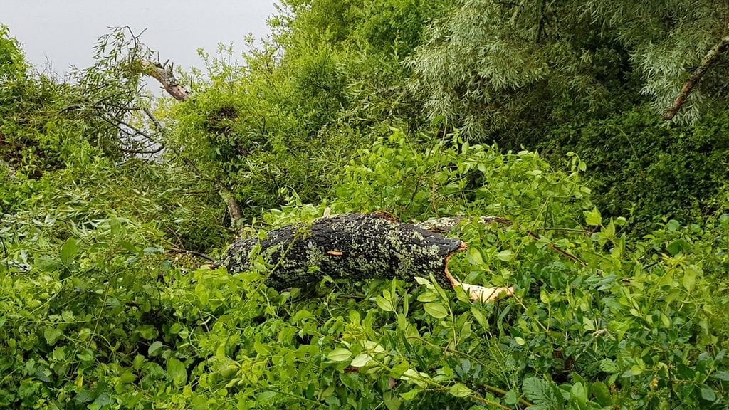 Uusi-Seelanti myrsky 3