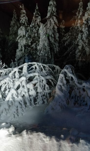 Jenna Karjalainen, Kajaani