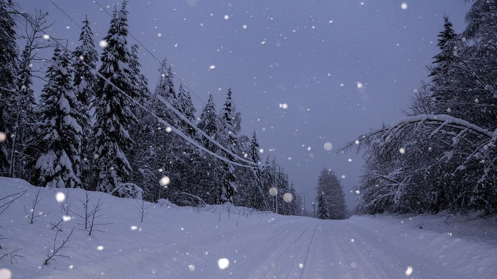 Maija Savolainen, Nurmeksen Saramo