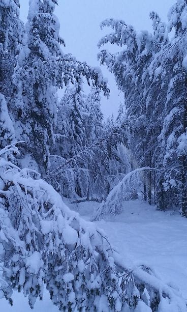 Kainuun pelastuslaitos