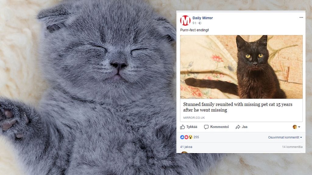 Winston teki ihmeellisen paluun perheensä luo.