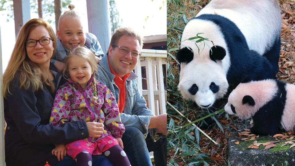 Kuvassa Lepistön perhe sekä kuvituskuvaa pandoista.