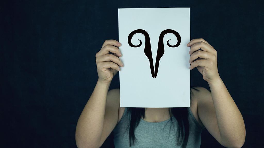 Oinas hyppää innolla mukaan kaikkeen, vaikka idea olisi huono.