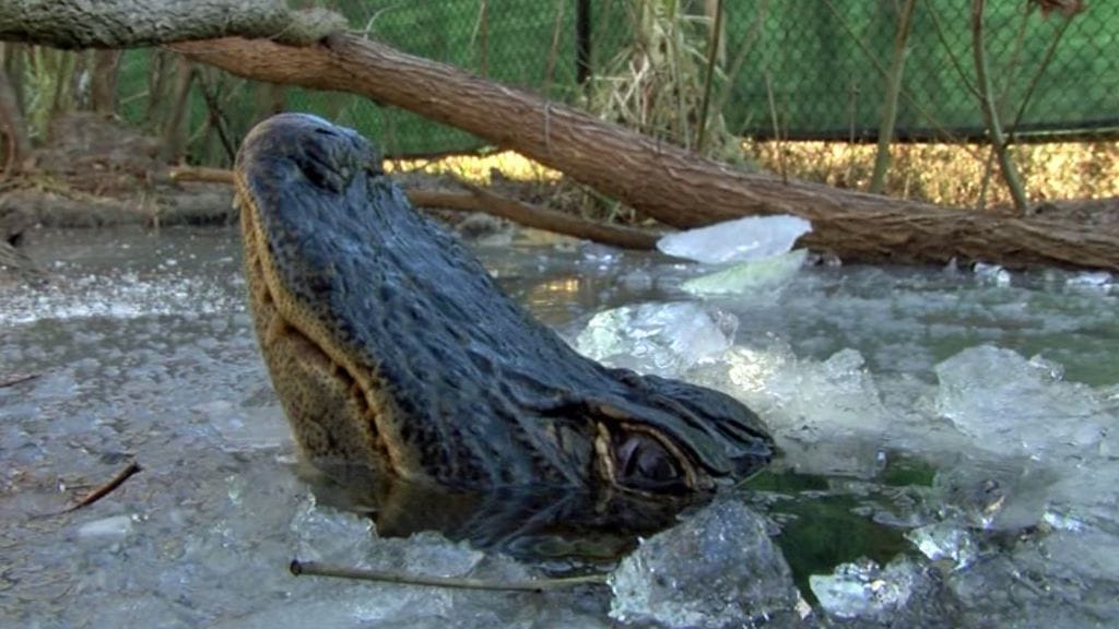 Avannot on tehty itse,