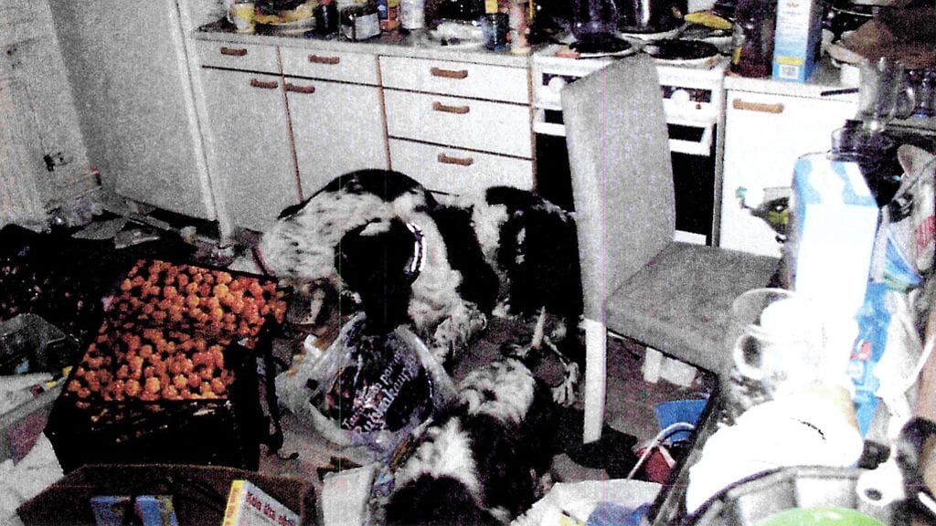 Poliisin ottamissa kuvissa näkyy, kuinka koirat etsivät syötävää keittiön roskapusseista.