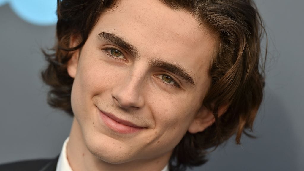 Timothée Chalamet on noussut nopeasti elokuvamaailman tähdeksi.