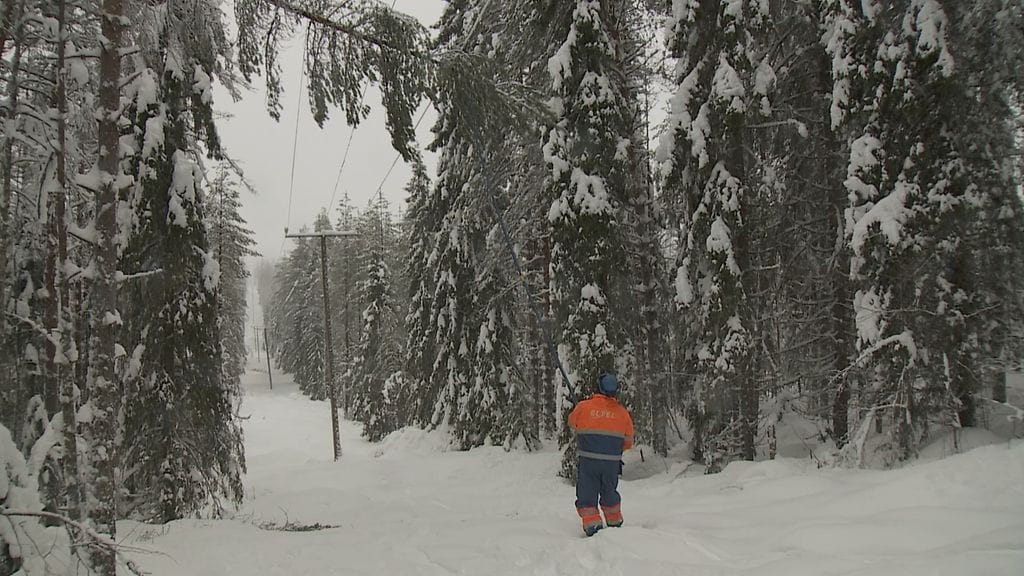 Tykkylumi aiheutti Kainuussa lukuisia sähkökatkoja vuoden alussa.
