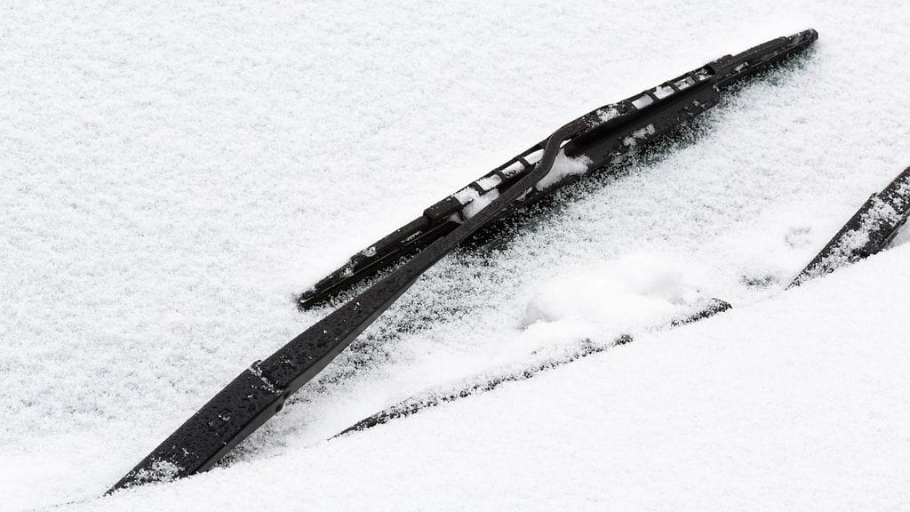 Kuvituskuva. Kuvan sulka ei liity juttuun.